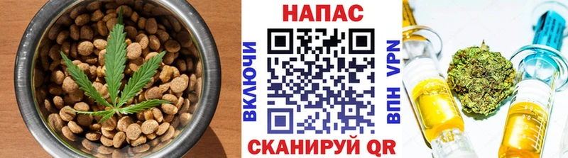 где можно купить   Кисловодск  это состав  Cannafood марихуана 