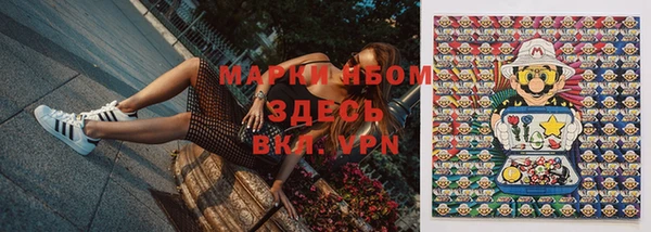 сатива Вязники