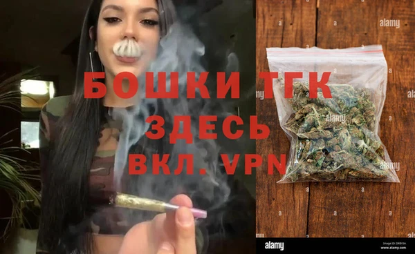 тгк Вяземский