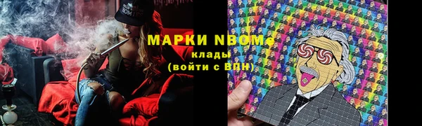 тгк Вяземский