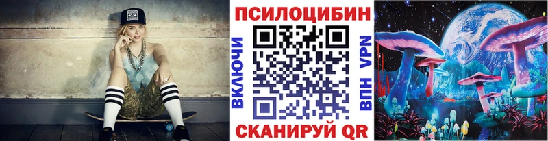 Галлюциногенные грибы Psilocybine cubensis  Кисловодск 