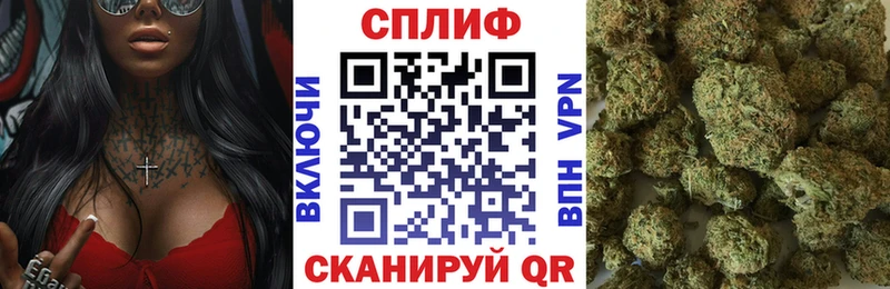 Каннабис сатива  Кисловодск 